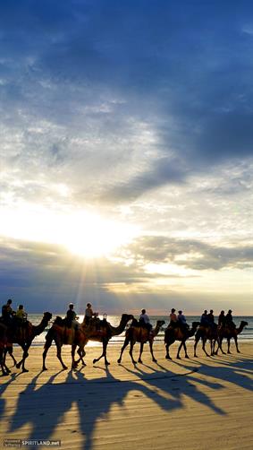 Cable Beach Camels, WA. 